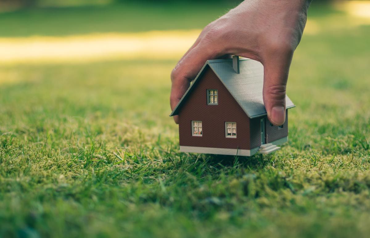 Dream Property